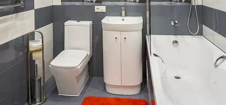 Hansgrohe Shaving Mirror West Allis